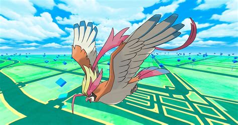 best nature pidgeot